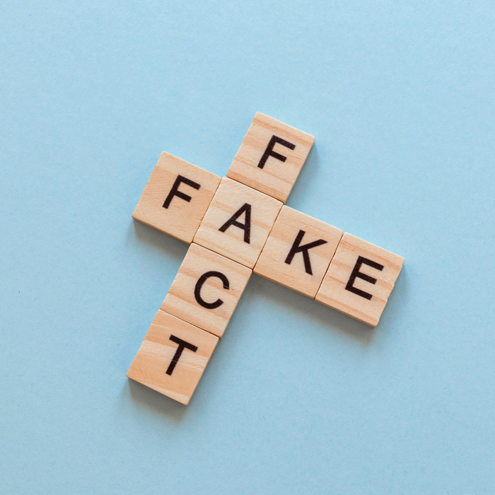 fake (1)